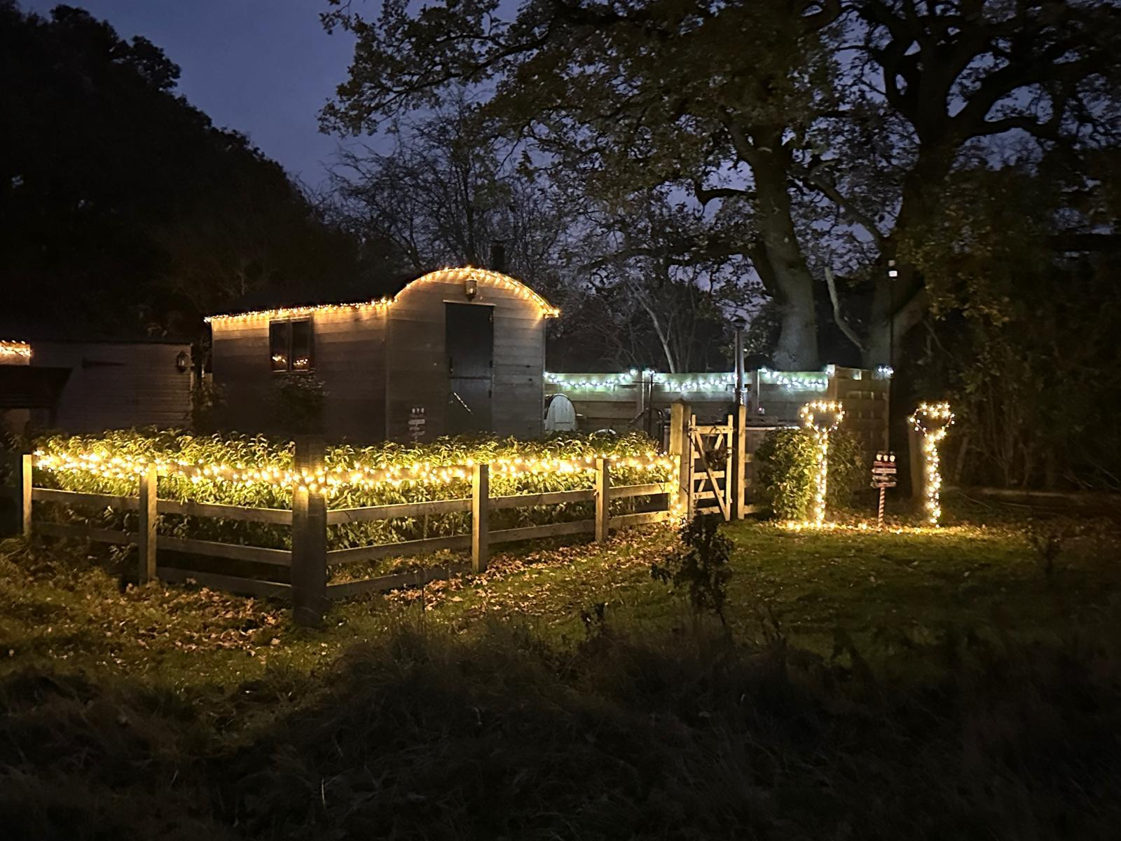 WhatsApp Image 2025-11-23 at 18.13.25_0336558f