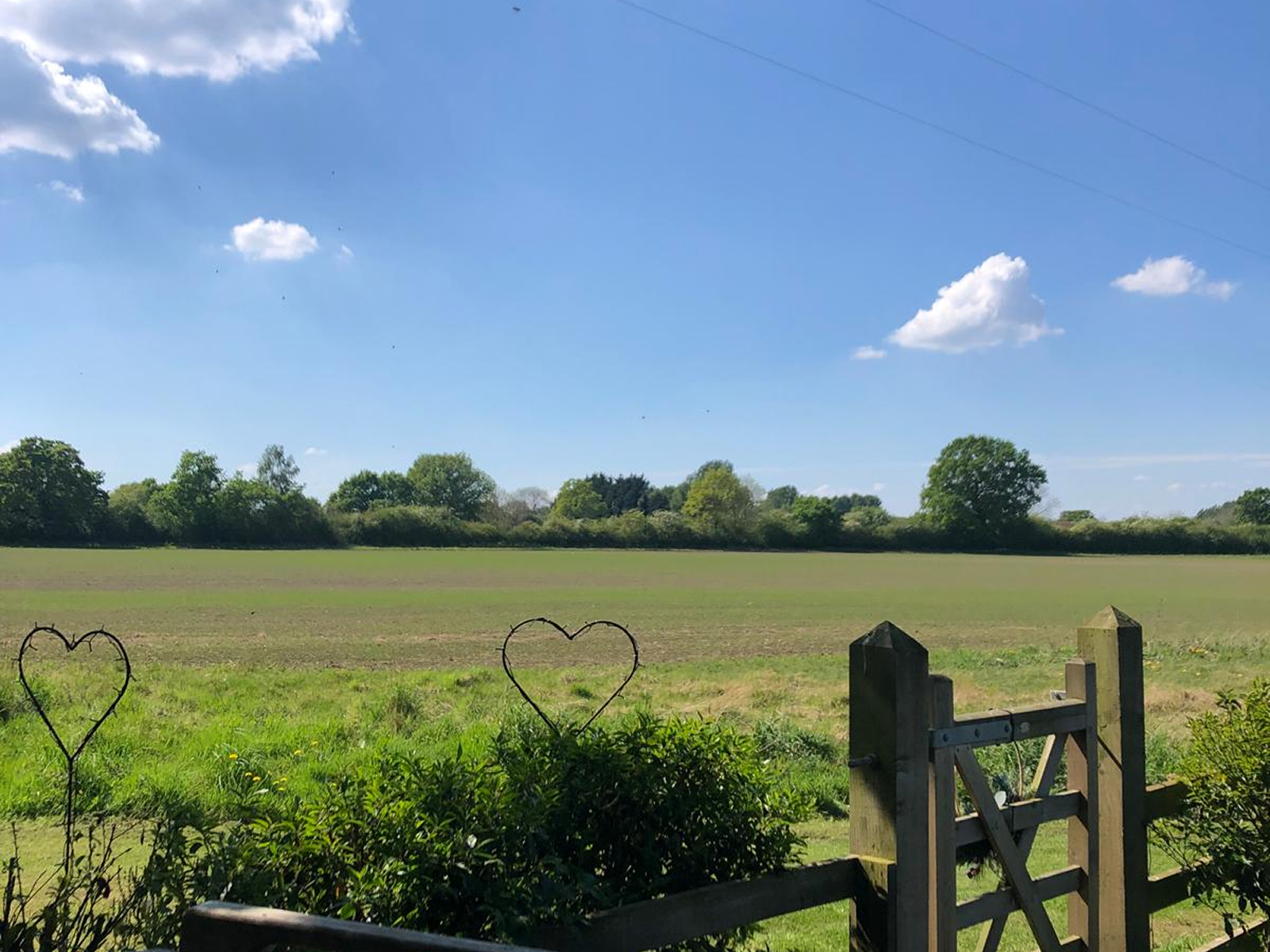 WhatsApp Image 2025-11-23 at 18.13.25_914cc21c