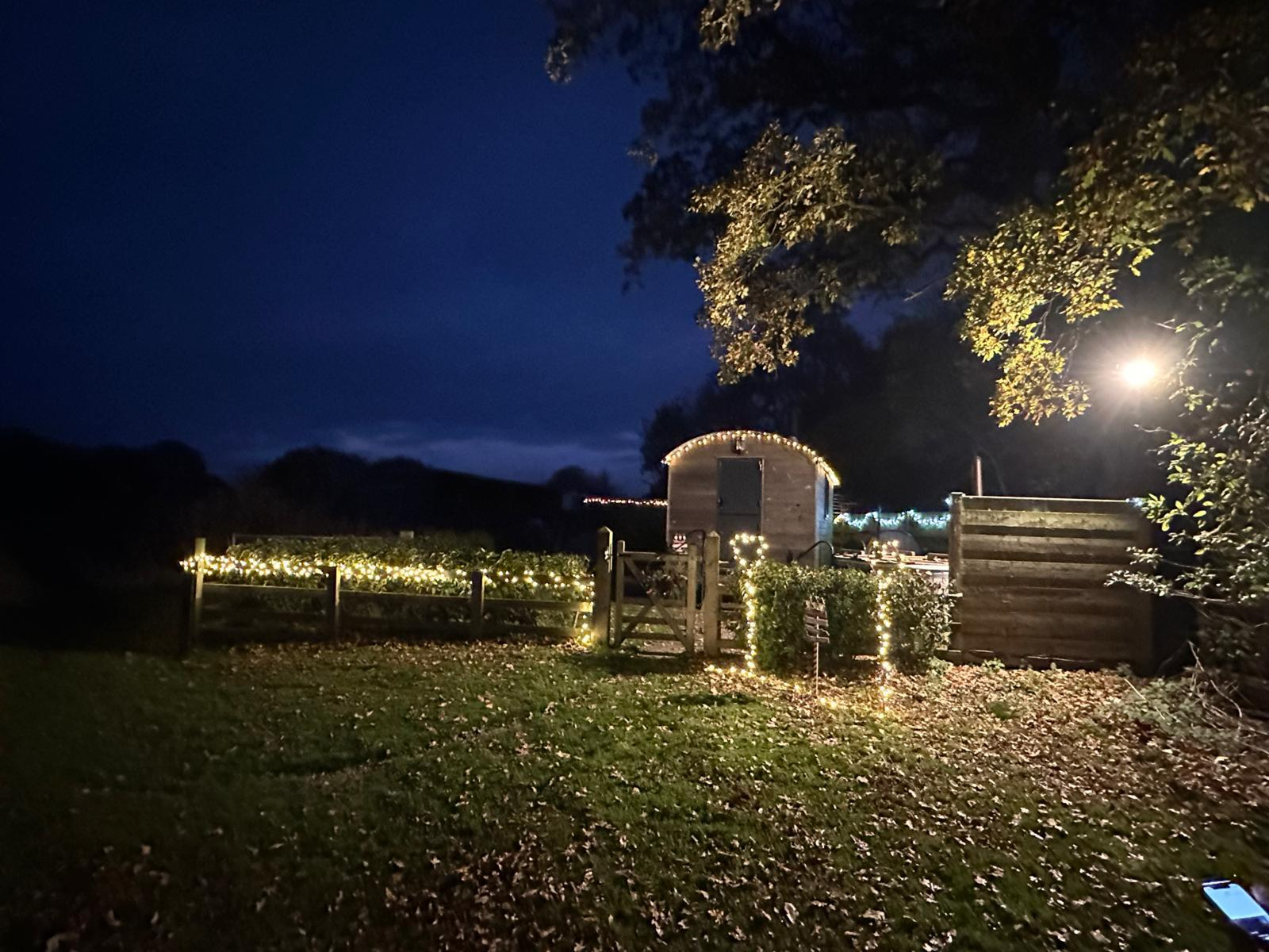 WhatsApp Image 2025-11-23 at 18.13.25_c38c99e8